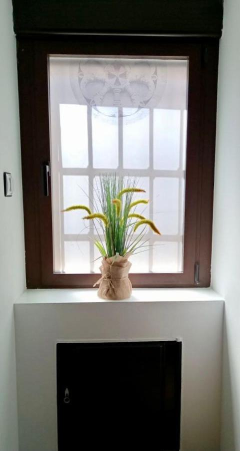 הוילה זמורה La Casita מראה חיצוני תמונה